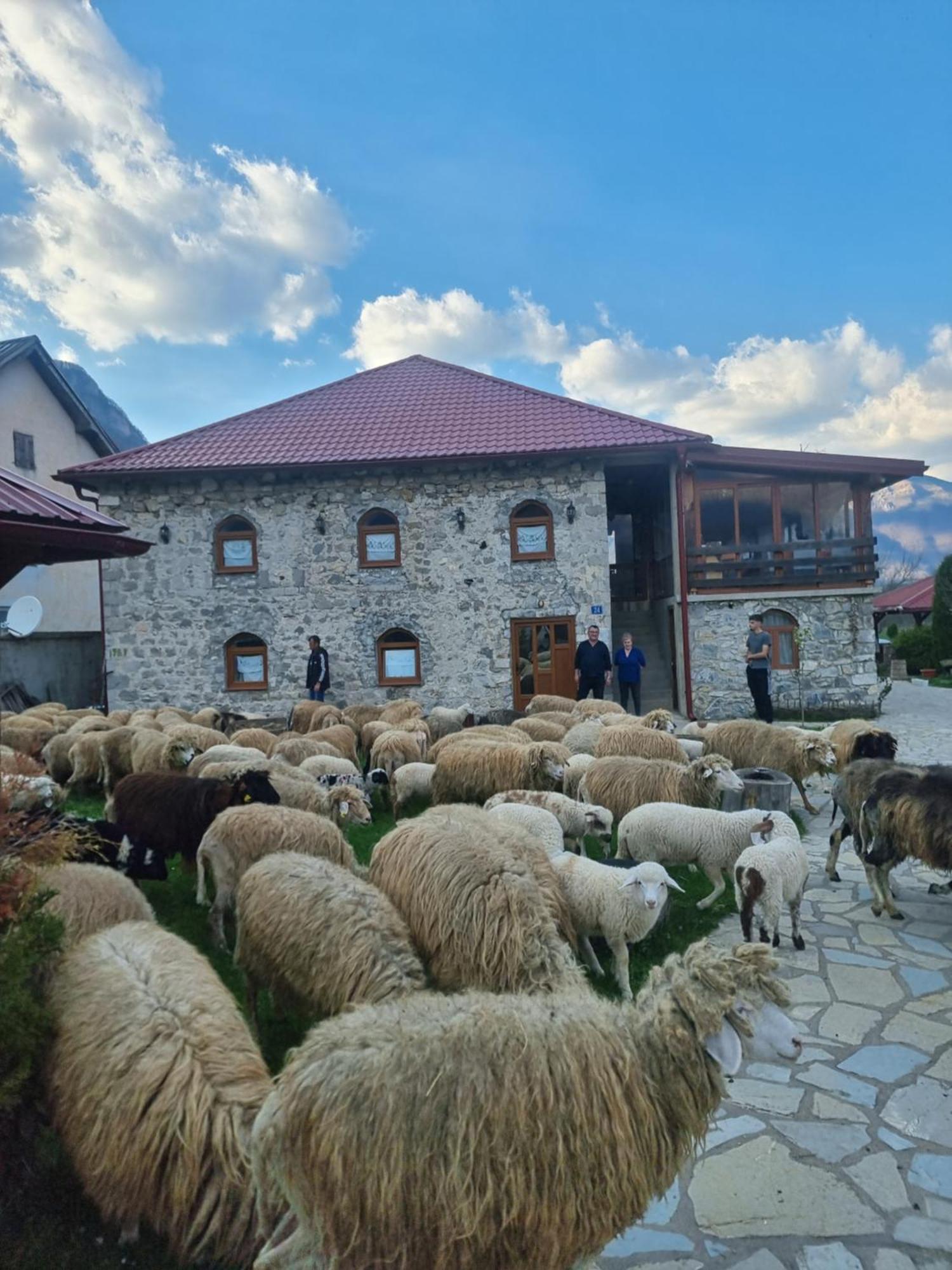 Ethno Katun Rosi Agrotourism 호텔 Gusinje 외부 사진