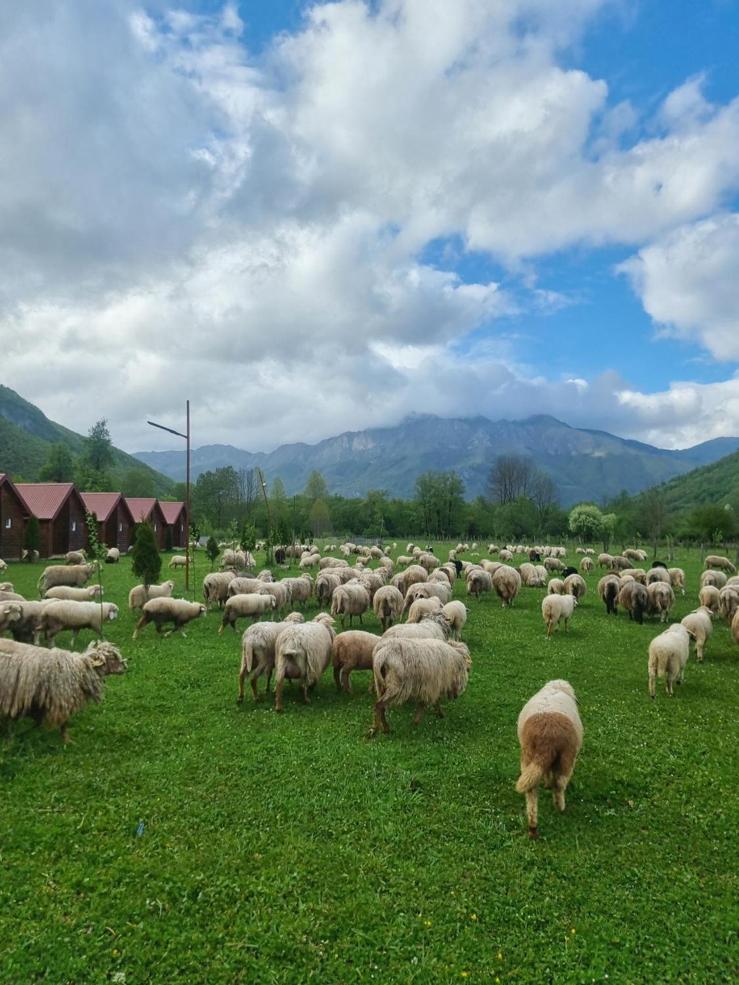 Ethno Katun Rosi Agrotourism 호텔 Gusinje 외부 사진